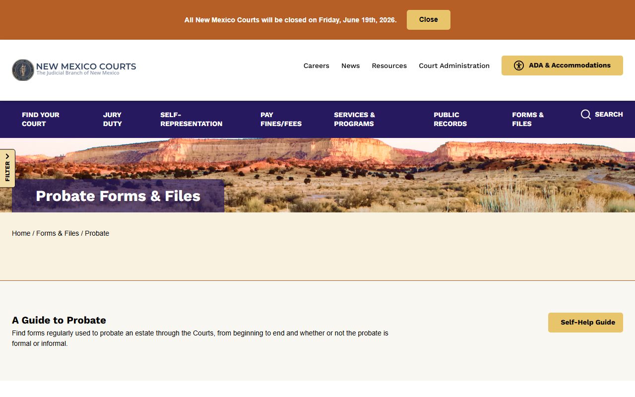 San Juan County court dockets New Mexico probate forms and guide